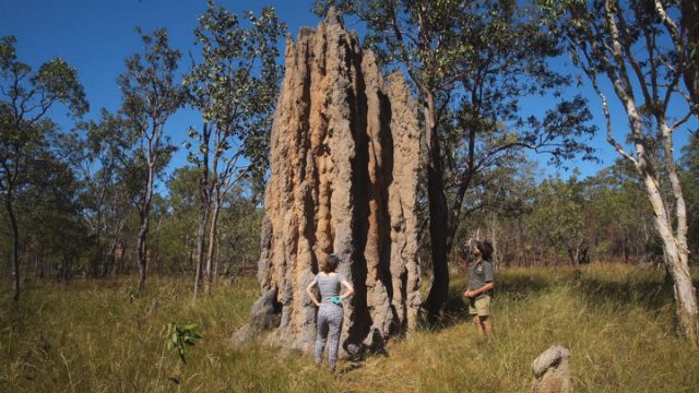 The Magic of Australia's Kakadu National Park