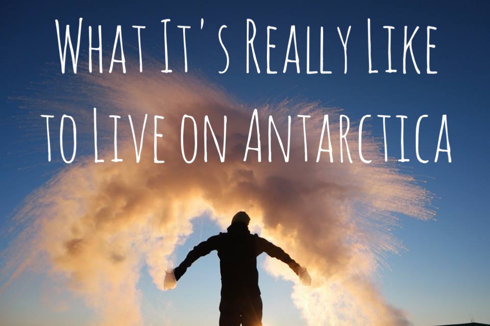 live on antarctica