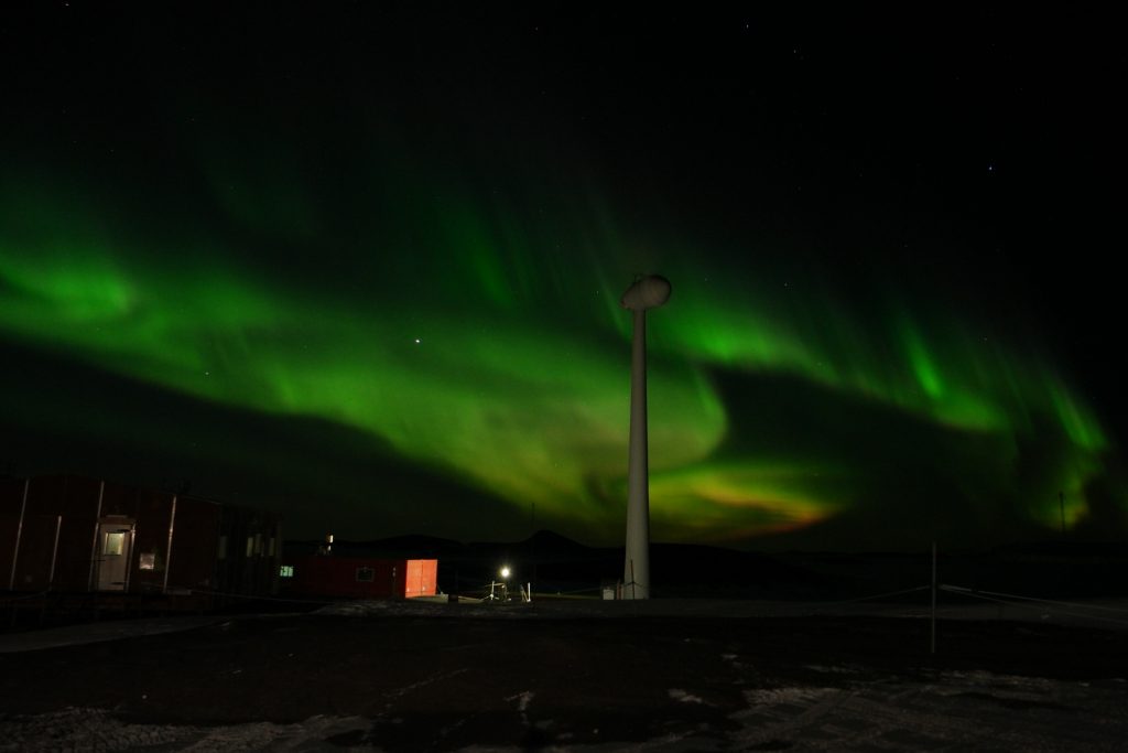 life on antarctica 