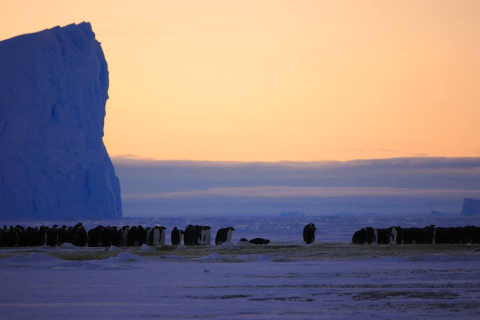 life on antarctica 