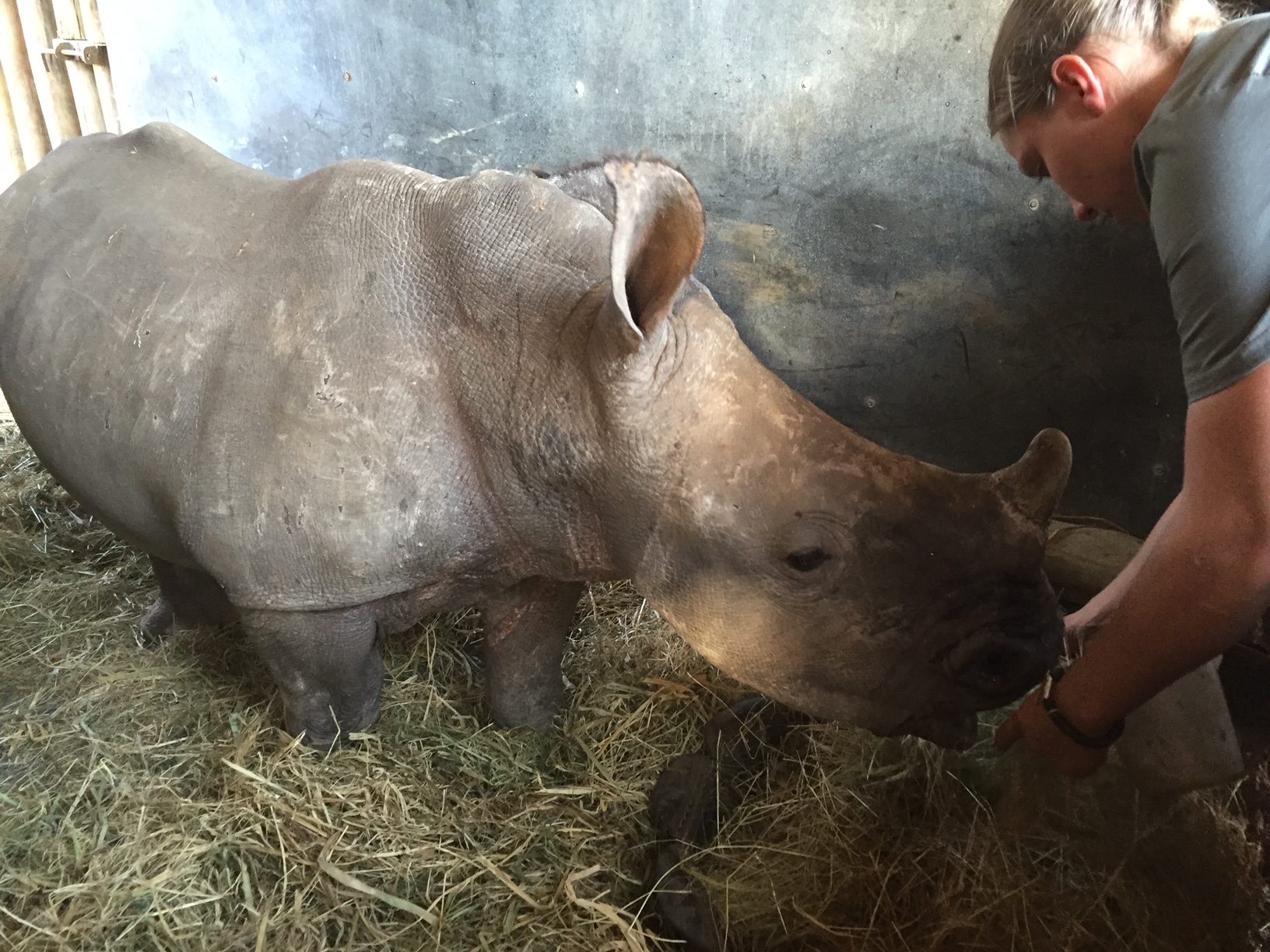 rhino orphanage