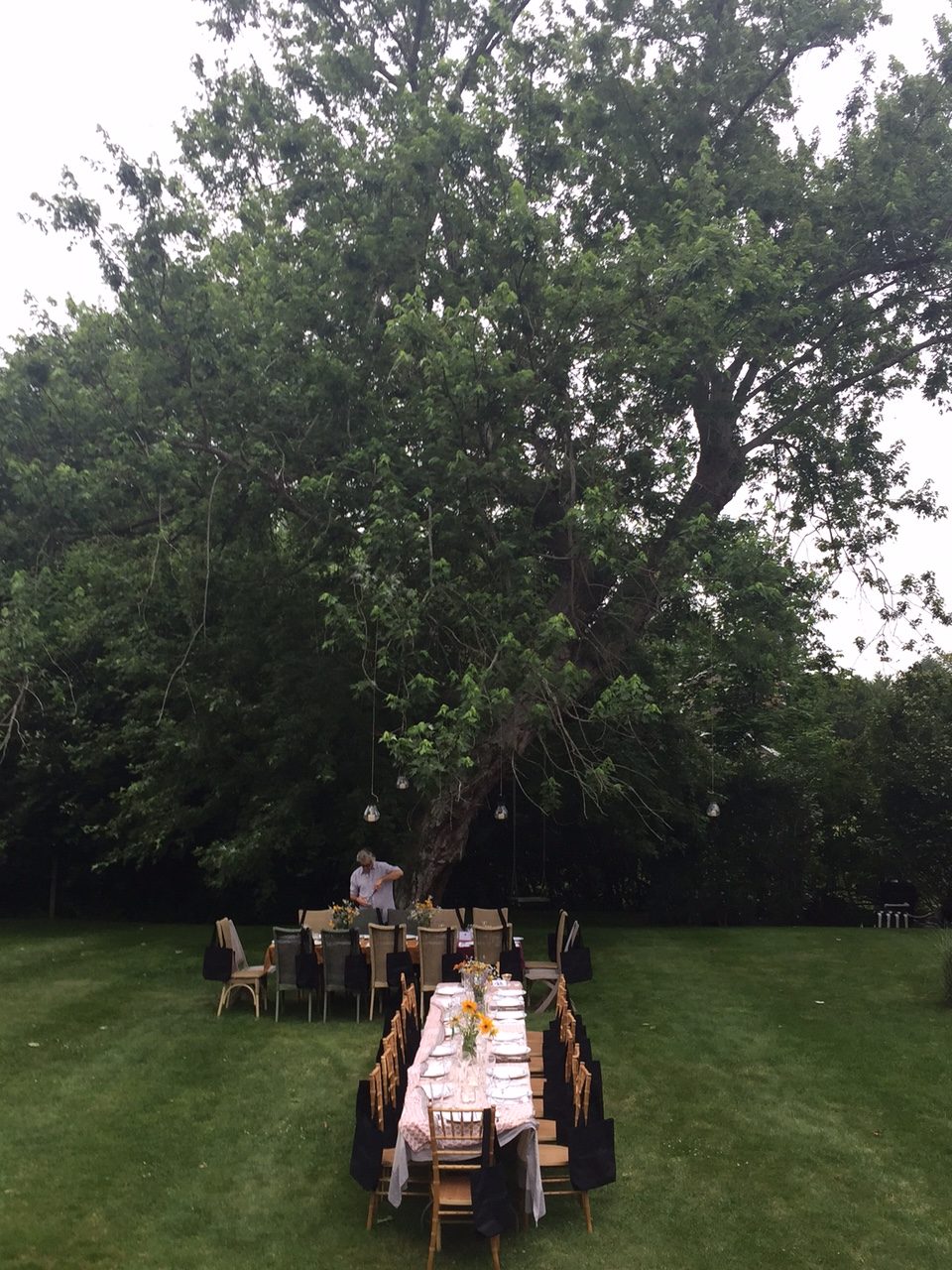 Beach Dinner Party 