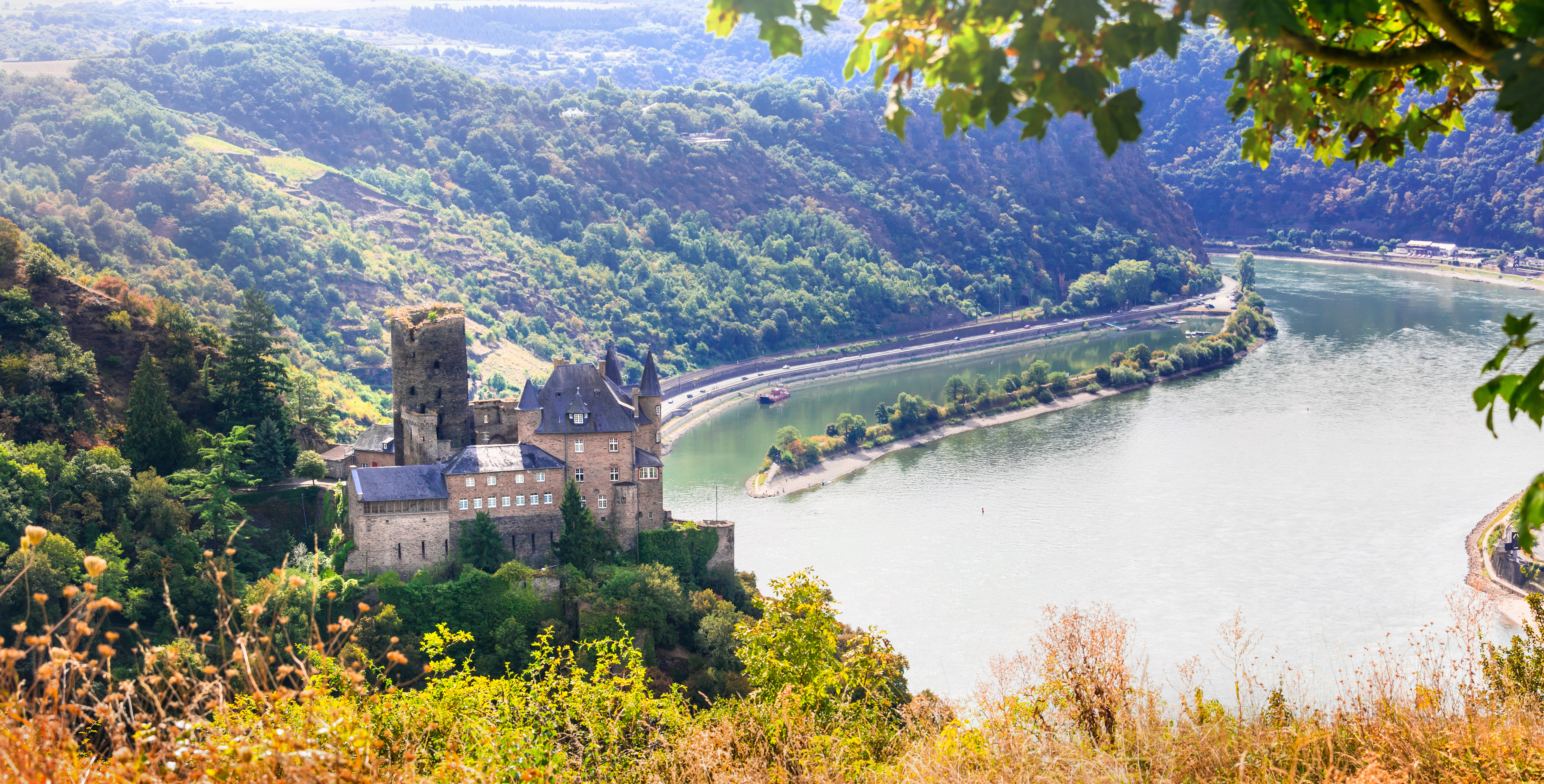 Castles on the Rhine