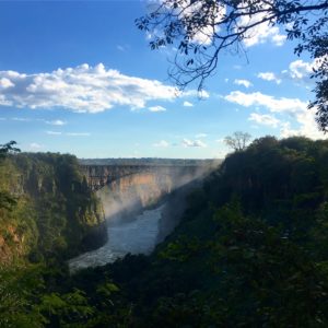 microflight victoria falls