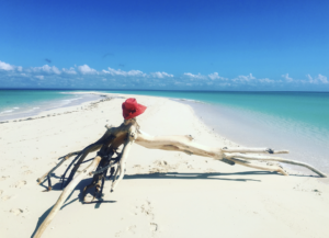 Medjumbe Private Island Sanctuary