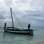 Medjumbe Private Island Sanctuary