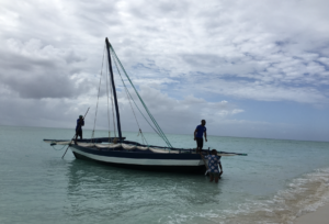 Medjumbe Private Island Sanctuary