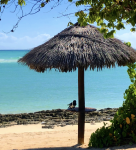 Medjumbe Private Island Sanctuary