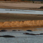 River Safari Zambia