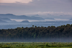 singita rwanda 3