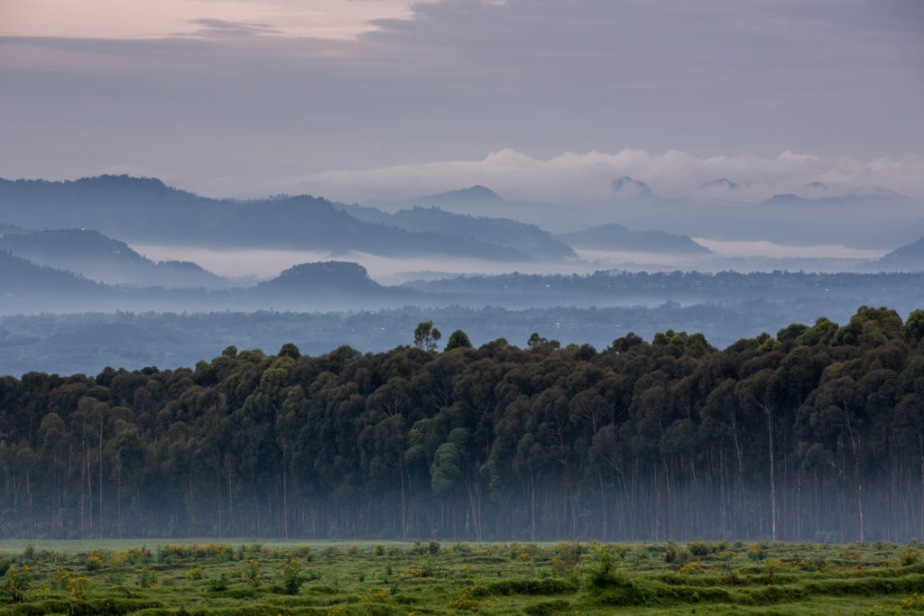 Singita Rwanda