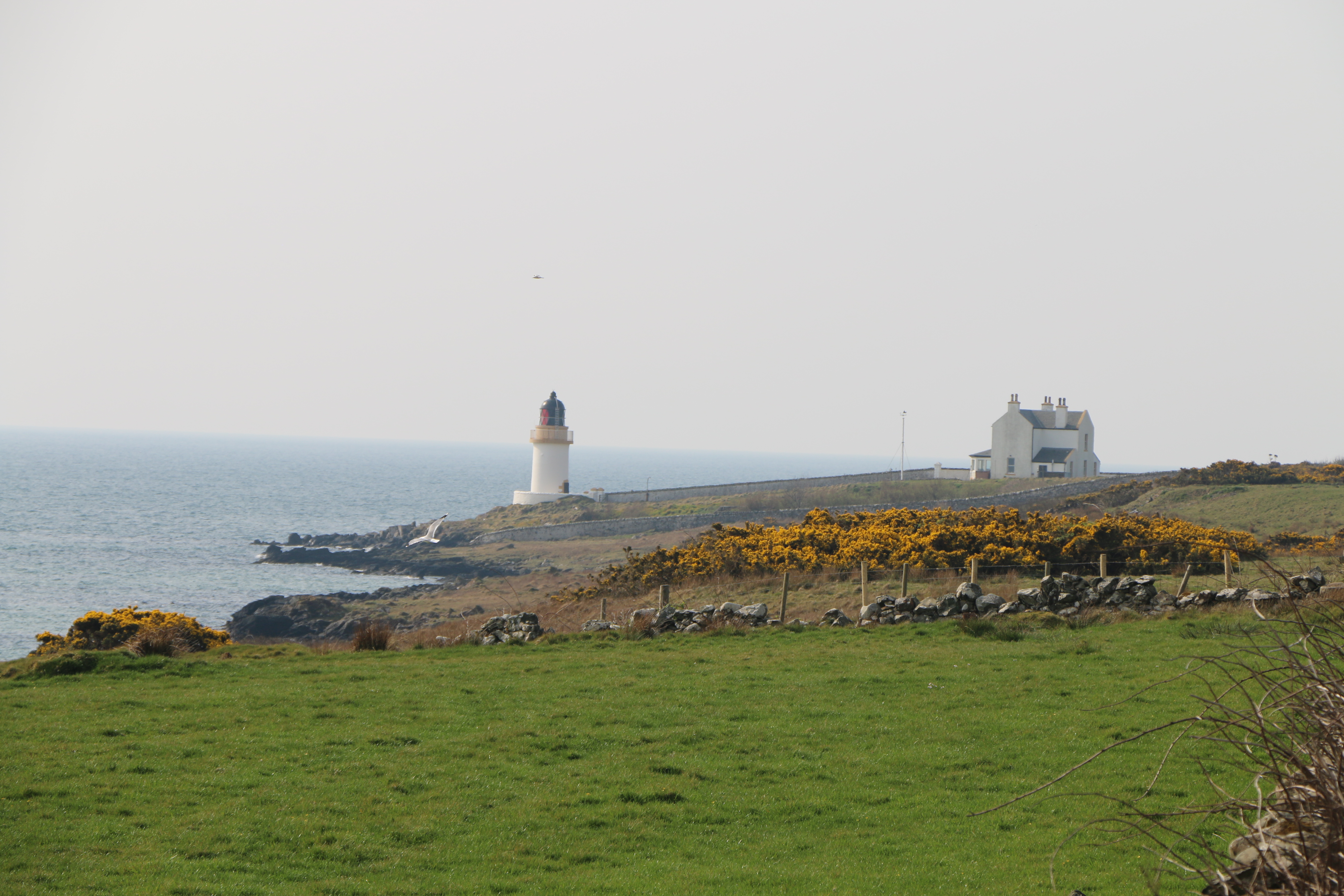 whisky walk Islay